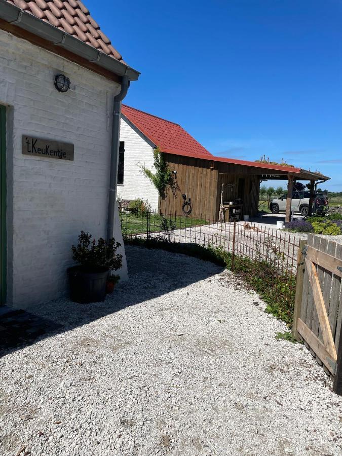 De Wabisabiboerderij Bed and Breakfast Oedelem Εξωτερικό φωτογραφία