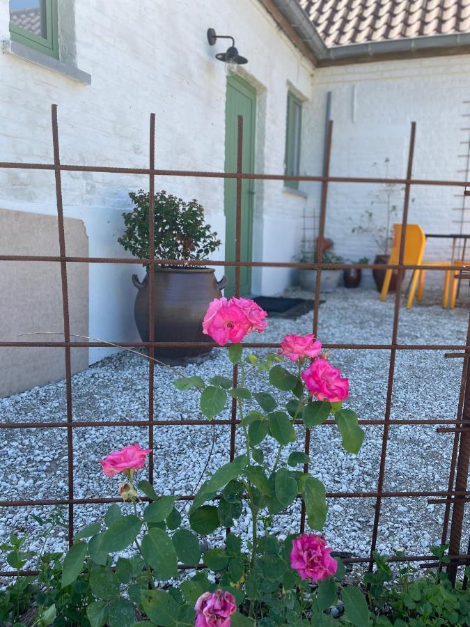 De Wabisabiboerderij Bed and Breakfast Oedelem Εξωτερικό φωτογραφία